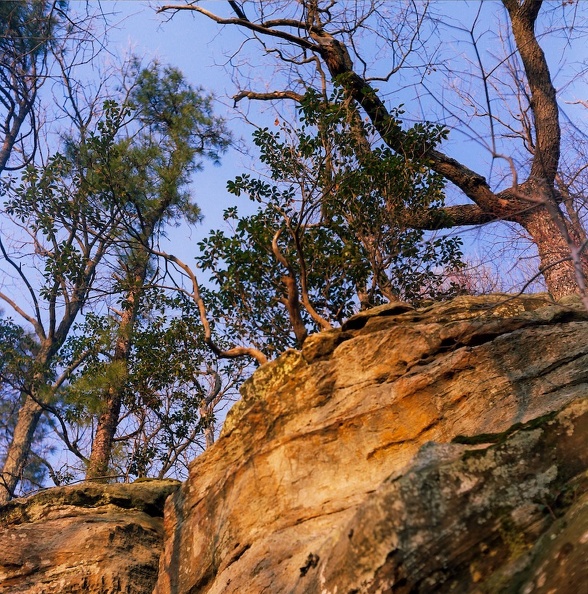 Sheltowee Trace sunset